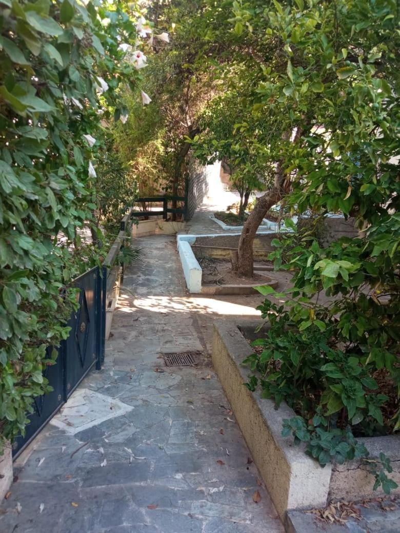 Utopia Suites 3 Aegina 外观 照片